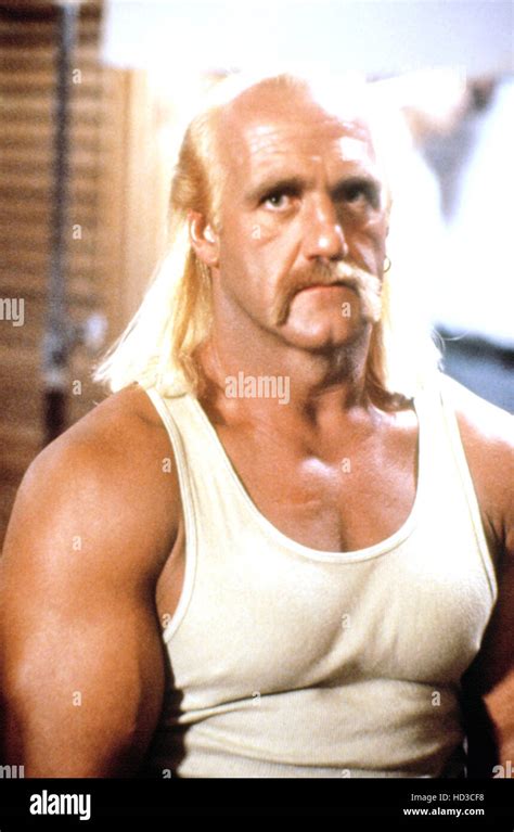 Hulk Hogan (aka Terry Bollea), circa early 1990s Stock Photo - Alamy