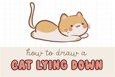 How To Draw A Cat Laying Down