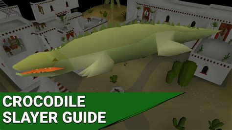 OSRS Crocodile Slayer Guide with Safe Spot for Pures (Quick Guide ...