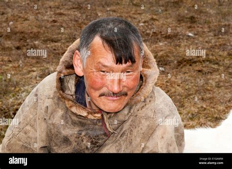 Reindeer herders camp of the nomadic Nenets people in the Russian tundra of Yamalo-Nenets ...