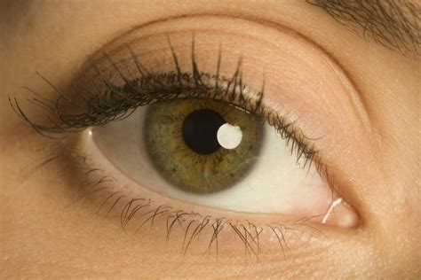 Hazel Eyes (Pictures, Genetics & Facts)