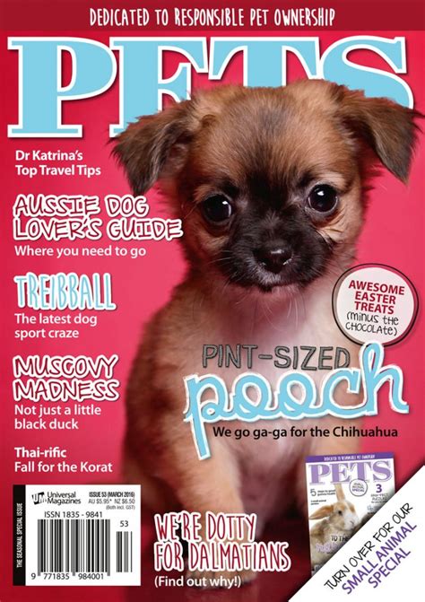 Pets 53 cover - Pets