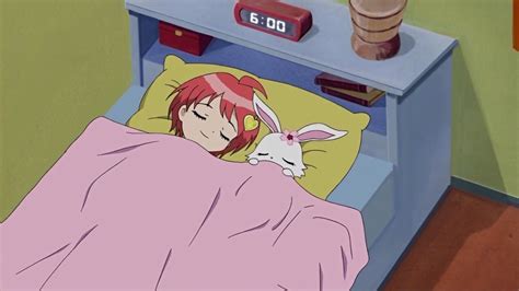 Image - Ruby & Rinko sleeping together.jpg | Jewel Pet Wiki | FANDOM powered by Wikia