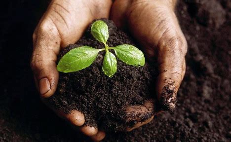 Soil Biodiversity: a nature-based solution? // FARM-D