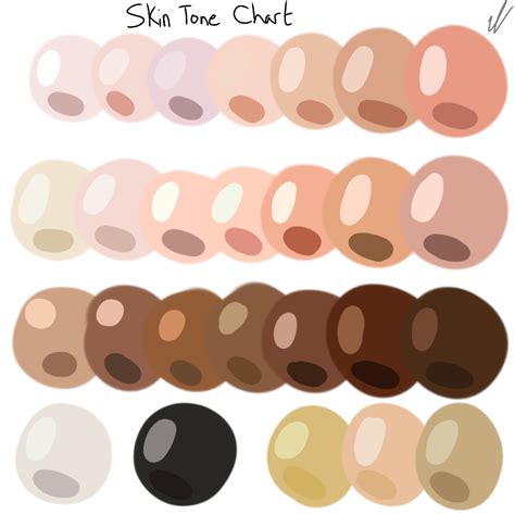 Skin Tone Chart Tumblr Skin Tone Chart Colors For Ski - vrogue.co