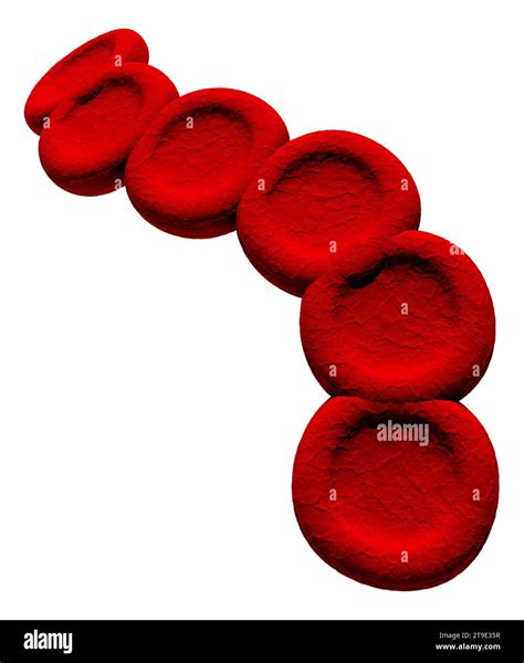 Stacked red blood cells, illustration Stock Photo - Alamy