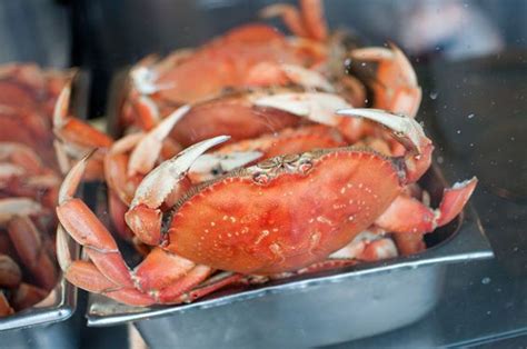 Where To Buy Crab At Fisherman's Wharf - Food Crab