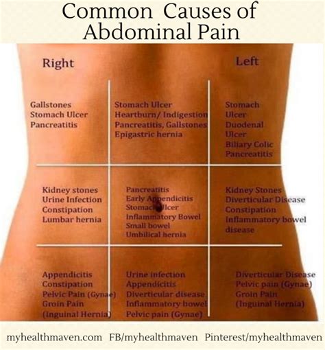 What Is Pain In Lower Left Side Of Body at augustafversace blog