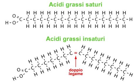 Grassi Saturi: Sono Buoni o Cattivi?