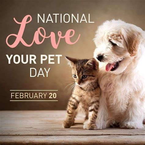 National Love Your Pet Day 2019 - Photos Idea