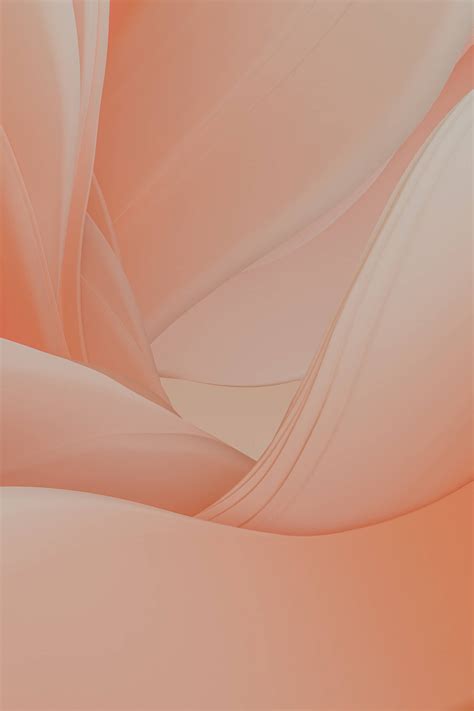 Download Embrace the Warmth: A Delightful Display of Pastel Orange Aesthetic Wallpaper ...