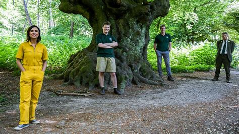 BBC One - Countryfile, Epping Forest