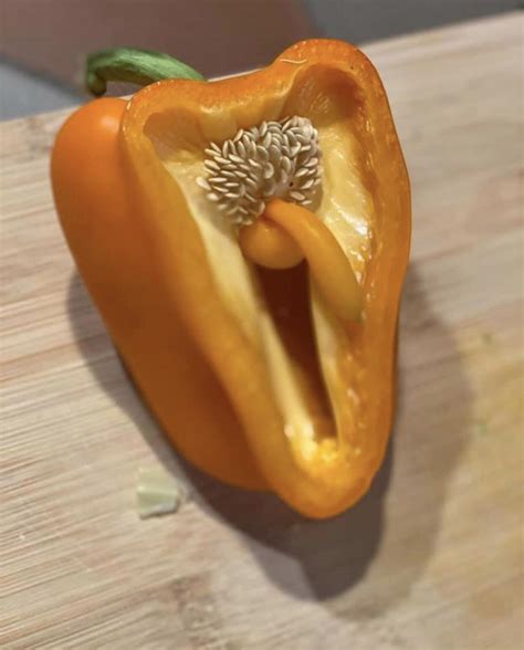 I HAVE A REAL LIFE PLUMBUS : r/rickandmorty