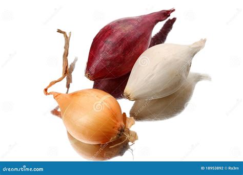 Three Varieties of Onion Seeds Stock Photo - Image of food, color: 18953892