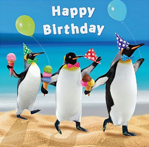 Funny Penguin Birthday Cards Beach Penguins Party Hats Birthday Card ...