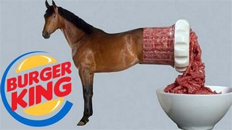 Is it True? Burger King Admits To Using Horse Meat In Burgers, Whoppers ...