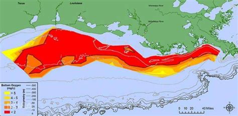 Gulf of Mexico 'dead zone' is already a disaster – but it could get worse