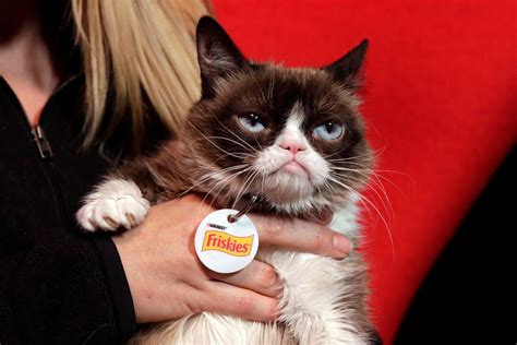 R.I.P. Grumpy Cat, The Face That Launched A Million Memes