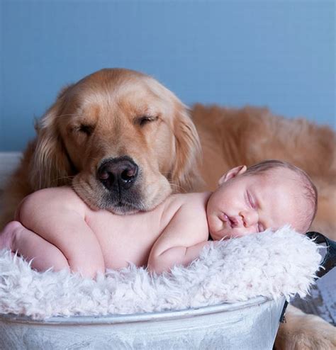 20 Adorable Photos of Kids and Their Dogs | Cute overload - BabaMail