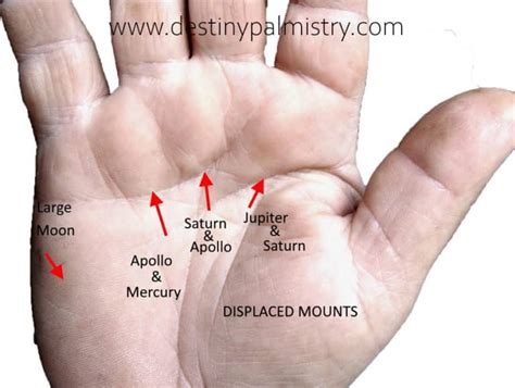 Venus Mount on the Palm Reveals Your Power - Destiny Palmistry Home