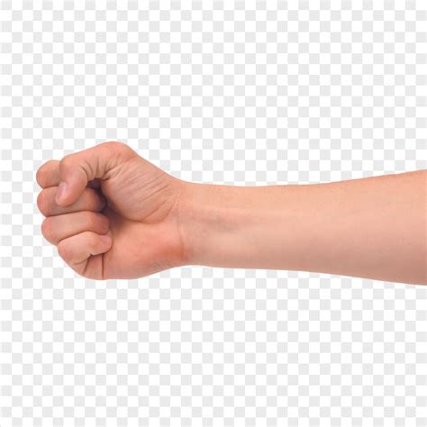 Human Hand Finger Pointing Right HD PNG | Citypng