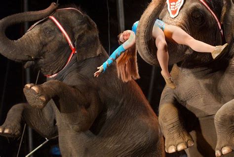 20 vintage circus moments from West Michigan - mlive.com