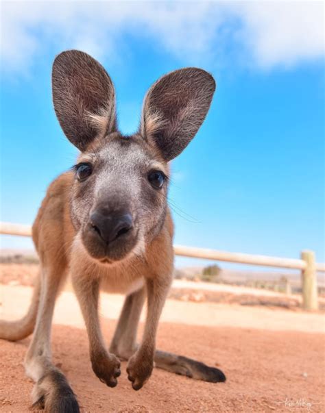 PHOTOGRAPHY - OCEAN 🌊📸| on Beach Love Australia | Marine photography ...