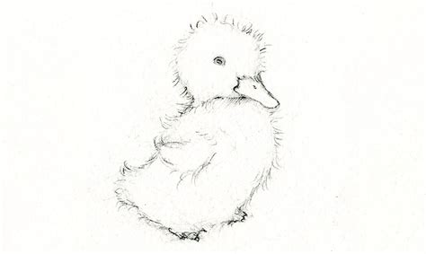 Adorable Art: Learn How to Draw and Paint a Duckling | Craftsy