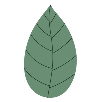 Mint Leaf PNGs for Free Download