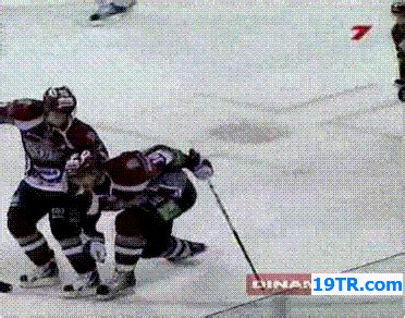 Hockey Celebration : gifs