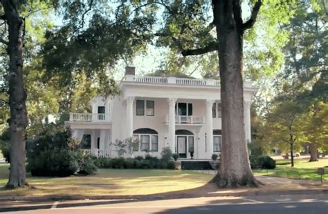 “Sweet Magnolias” Southern Charm and Serenity Cookies - The Striped Barn