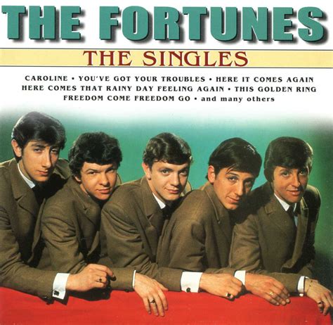 Couverture D'Album: The Fortunes - The Singles