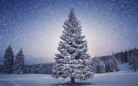 🔥 [71+] Snowy Christmas Backgrounds | WallpaperSafari