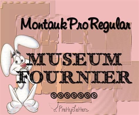 FONTS MUSEUM FOURNIER