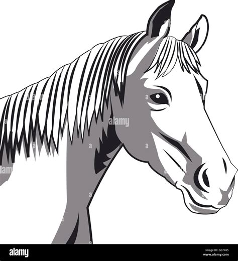 horse drawing icon Stock Vector Image & Art - Alamy