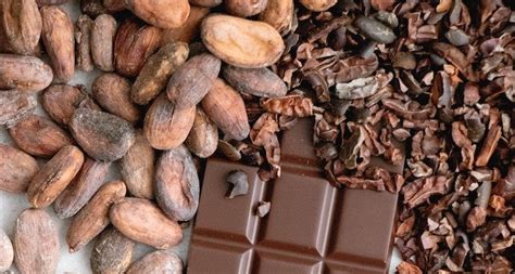 What Are Cacao Nibs? - Whitakers Chocolates | Our BlogWhitakers Chocolates | Our Blog