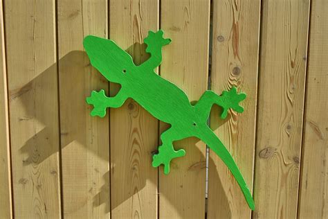 Free picture: lizard, object, wooden, wood, oak, hardwood, wall, board