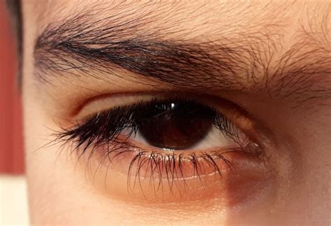 Brown eye | Brown eyes aesthetic, Pretty eyes, Pretty brown eyes