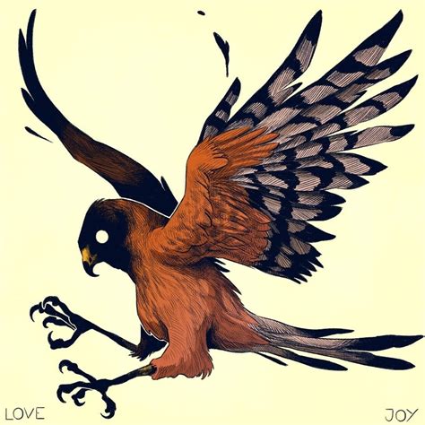 Red-tailed hawk study by evanlovejoy (TUMBRL)