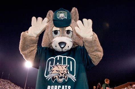 Ohio Bobcats mascot | Sports logo, Ohio, Team mascots