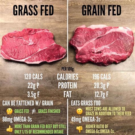 Grass Fed vs Grain Fed Beef - All Differences & Which is Better?