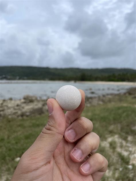 Perfectly round rock I found at the beach. : r/awsomerocks