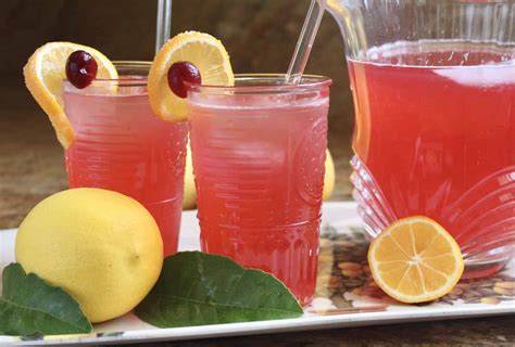 Fruit Lemonade Recipes - Five Spot Green Living