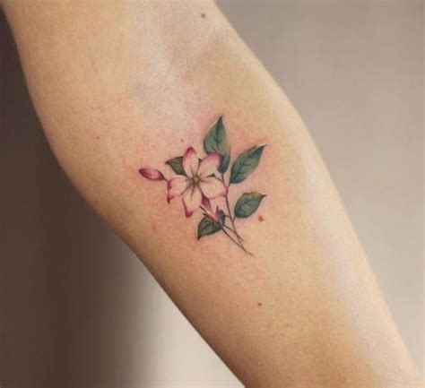 Jasmine Flower Tattoo Small | Best Flower Site