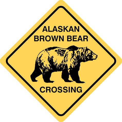 Alaskan Brown Bear – Badgerworks