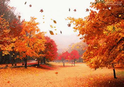 秋天 落葉 楓葉 楓紅 GIF - Autumn Leaves MapleTrees - Discover & Share GIFs