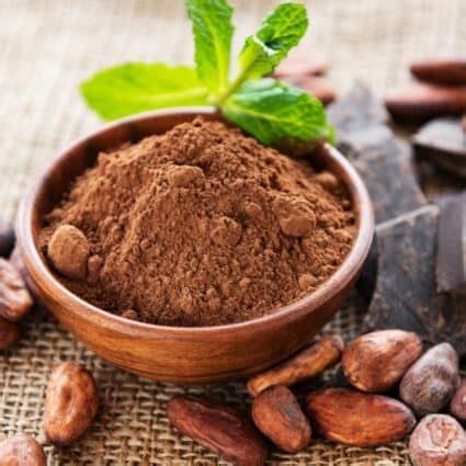 Is Cocoa Powder Vegan? (Ultimate Cocoa Powder Guide)