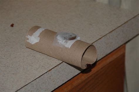 Homemade Rat Traps Humane - 8 Genius Diy Mouse Traps That Will Fix Your ...