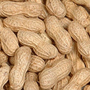 Dead Air: Vegan peanut brittle