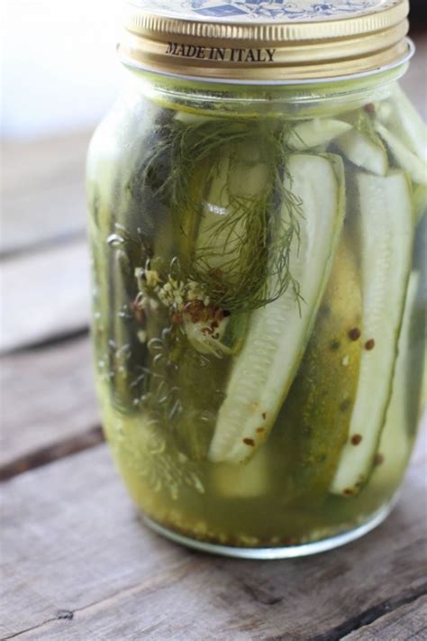 Pickles | Garlic dill pickles, Homemade pickles, Pickling recipes